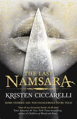The Last Namsara