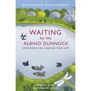 Waiting for the Albino Dunnock