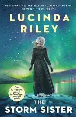 The Storm Sister: Ally's Story