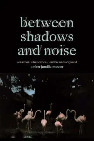 Between Shadows and Noise