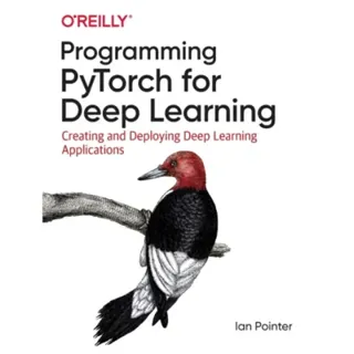 Programming PyTorch for Deep Learning