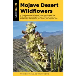 Mojave Desert Wildflowers
