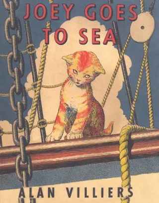 Joey Goes to Sea