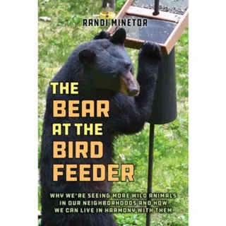 The Bear at the Bird Feeder