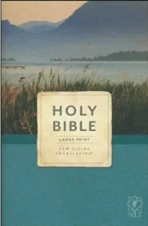 Holy Bible, Economy Outreach Edition, Large Print, NLT (Softcover)