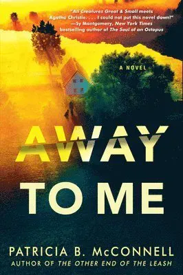 Away to Me