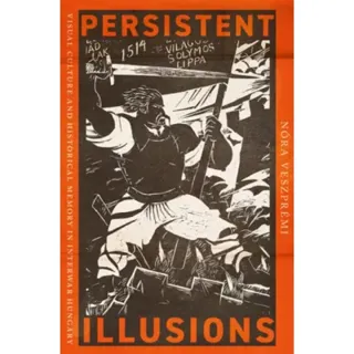 Persistent Illusions