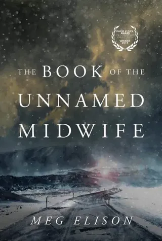 The Book of the Unnamed Midwife