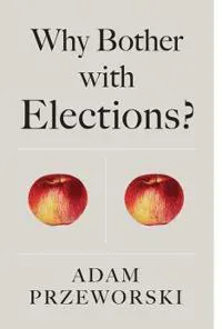 Why Bother With Elections?