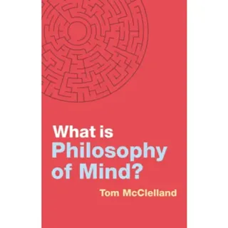 What is Philosophy of Mind?