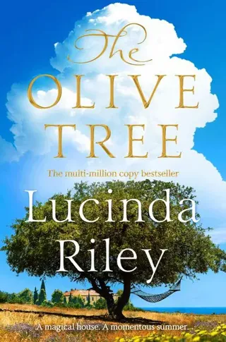 Olive Tree