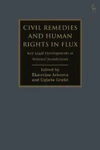 Civil Remedies and Human Rights in Flux