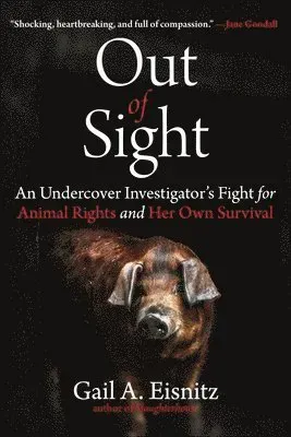 Out of Sight