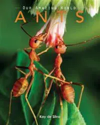 Ants