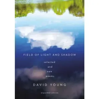 Field of Light and Shadow