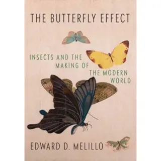 Butterfly Effect