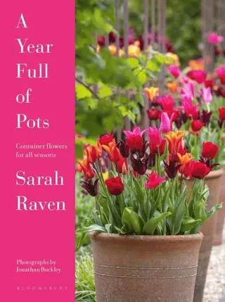 A Year Full of Pots