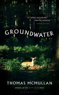 Groundwater