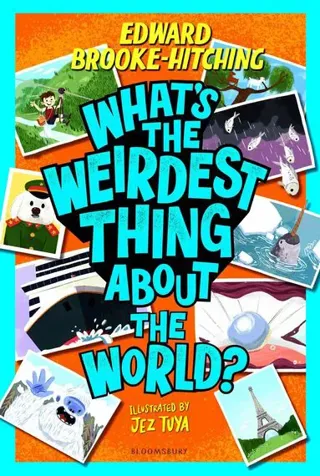 What's the Weirdest Thing About the World?