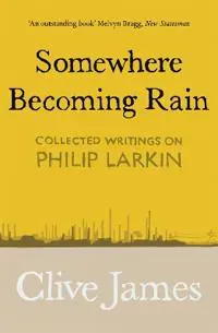 Somewhere Becoming Rain