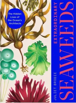 Extraordinary Seaweeds