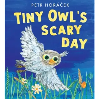 Tiny Owl's Scary Day