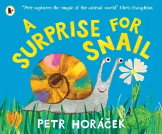 Surprise for Snail