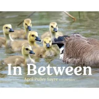 In Between