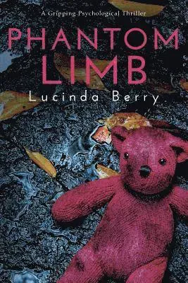 Phantom Limb: A Gripping Psychological Thriller
