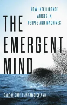 The Emergent Mind