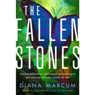 The Fallen Stones
