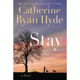 Stay