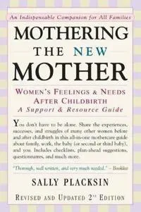Mothering the New Mother