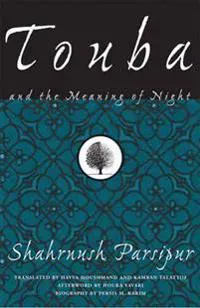 Touba And The Meaning Of Night