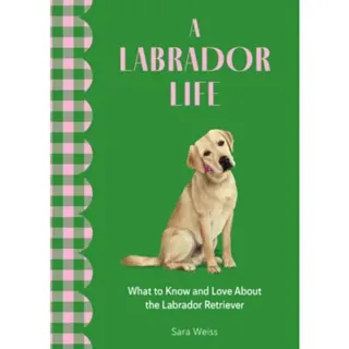 A Labrador Life
