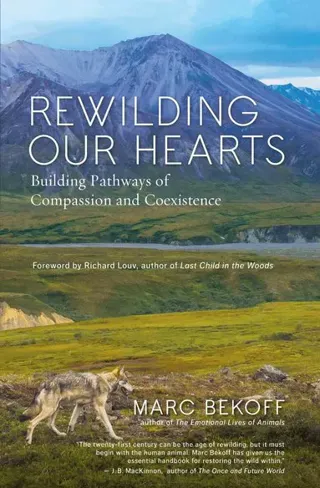 Rewilding Our Hearts