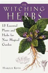 Witching herbs - 13 essential plants and herbs for your magical garden