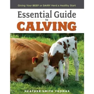 Essential Guide to Calving