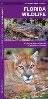 Florida Wildlife
