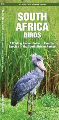South Africa Birds