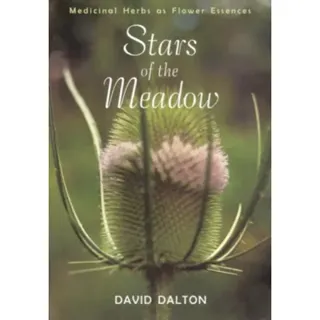 Stars of the Meadow