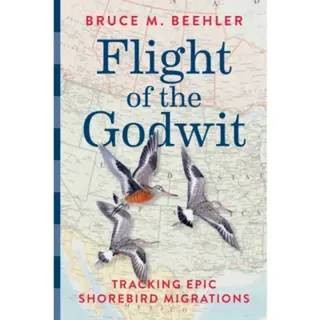 Flight of the Godwit
