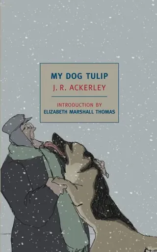 My Dog Tulip