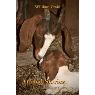 Animal Stories