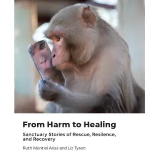 From Harm to Healing