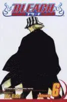 Bleach, Vol. 6