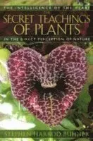 The Secret Teachings of Plants