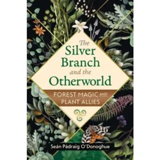 The Silver Branch and the Otherworld