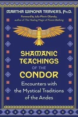 Shamanic Teachings of the Condor