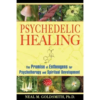 Psychedelic Healing